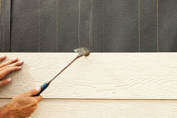 Best Engineered Wood Siding  in Lockhart, FL